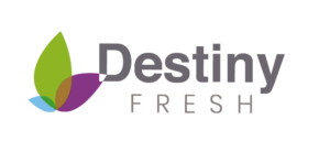 DESTINY FRESH_Mesa de trabajo 1